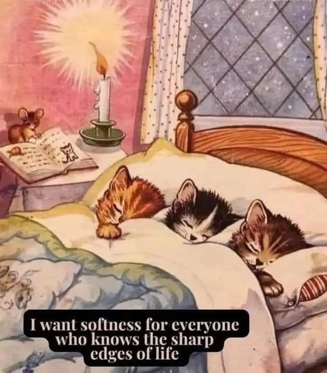 The meme is a humorous illustration of a cat's perspective on the idea of "softness." It shows a cat's room with multiple cats sleeping, and a quote at the bottom that reads: "I want softness for everyone who knows the sharp edges of life." The image is meant to be a comforting and soothing visual, with the cats' peaceful sleep and the quote's message of empathy and understanding.